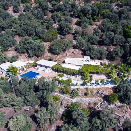 Villa Talos Palaiochora Eksteriør billede
